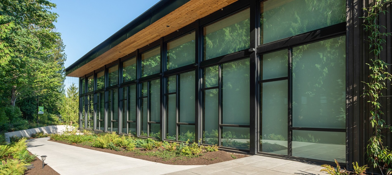 Curtain Wall Systems Houston